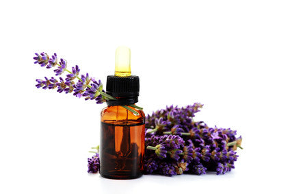 4 Reasons to Fall in Love with Lavender ...